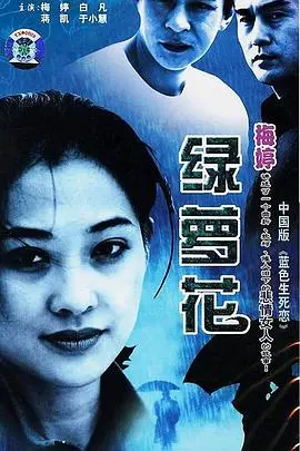 《绿萝花》：命运交织下的爱与救赎，绽放生命之光