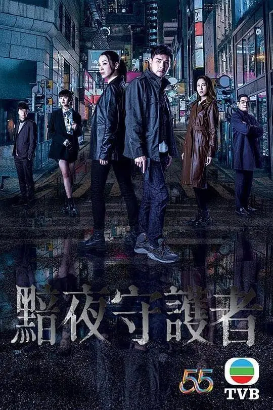 《黯夜守护者》：黑暗中的正义之光，无声的守护