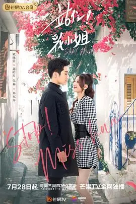 《站住！花小姐（越南语版）》：爆笑来袭！越南版野蛮女友，爱情喜剧拯救不开心！