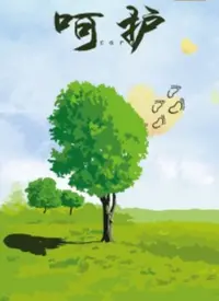 《呵护》：一场关于爱与失去的深刻探讨，催泪又治愈的家庭情感佳作！