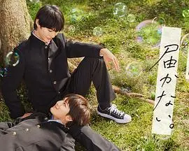 纯爱日影《无法传达给你》：青春悸动与自我探索，笨拙告白下的真心